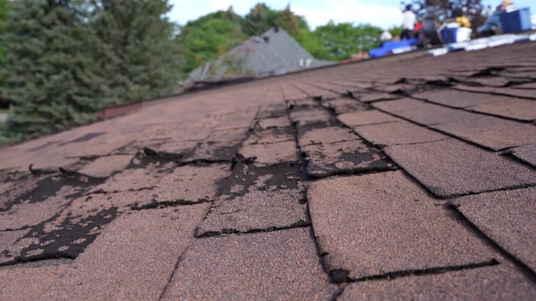 Best Sheet Metal Roofing  in Northwest Harwinton, CT